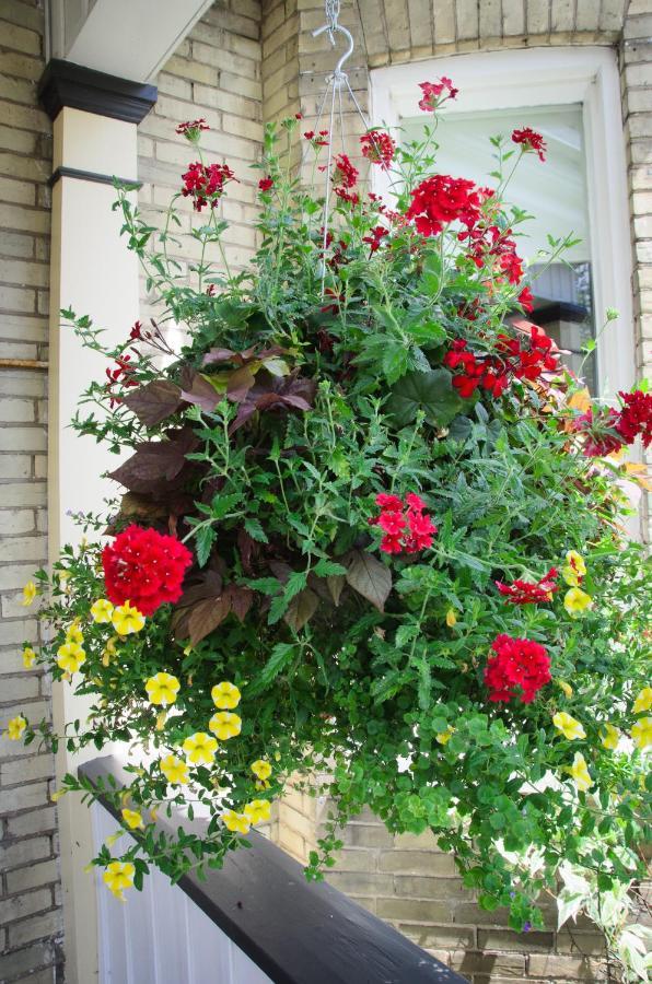 Avery House B&B Stratford Extérieur photo
